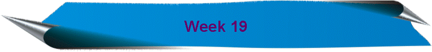 Week 19